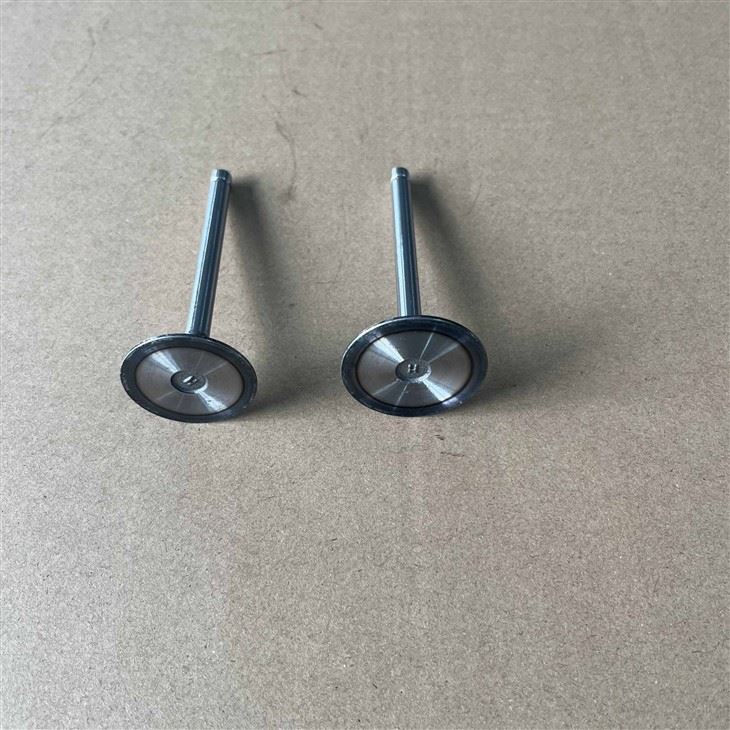 192F 14HP Generator Intake Exhaust Valve suppliers